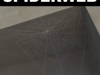 Spiderweb 3 3D model
