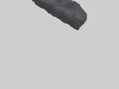 Gorilla Rib Low-poly 3D model