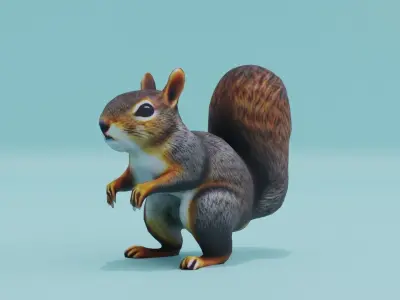 Squirrel realistic Rodent Free low-poly 3D model