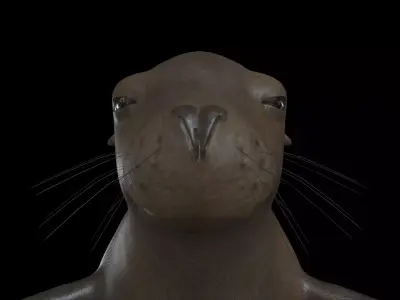 SEAL01 Rigged Seal 3D model