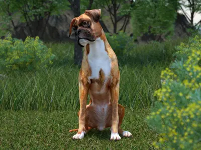 Dogs Collection 2 3D model