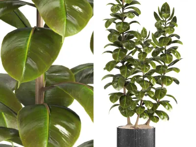 Indoor Plants in Ferm Living Bau Pot Large - Set027 3D model