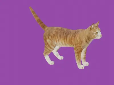 cat lowpoly 3d model 3D model