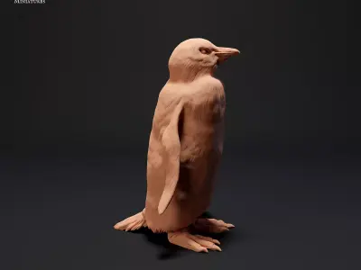 Gentoo Penguin Free 3D print model