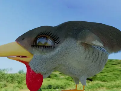 Bird Pheasant Low-poly 3D model