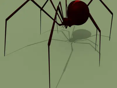 Black Widow Spider 3D model