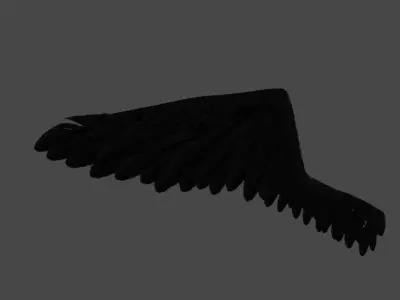 black wings 3D model
