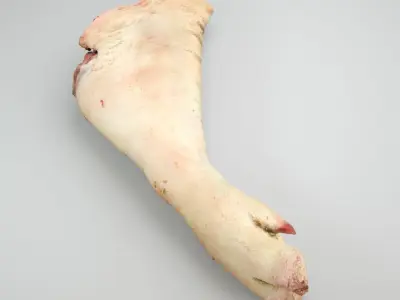 Raw Pig Foot - 3D Scan Low-poly 3D model
