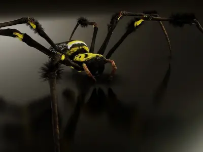 Trichonephila - Golden Silk Orb-weaver Low-poly 3D model