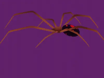 Red Widow Spider Low-poly 3D model