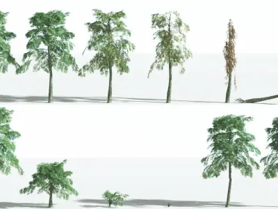 EVERYPlant Alethopteris Seed Fern LowPoly 3 --12 Models-- Low-poly 3D model