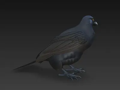 Crow Black Realistic 3D Model Basic - Low Poly Realistic Low-poly 3D model