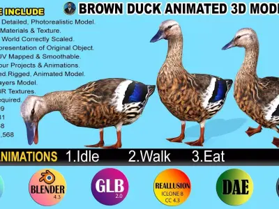 BROWN DUCK RIGGED ANIMAED 3 Low-poly 3D model