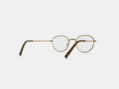 Rafael Eyeglasses in Polished Gold 3D model