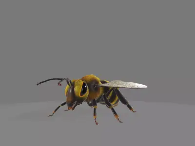 animated bee Low-poly 3D model