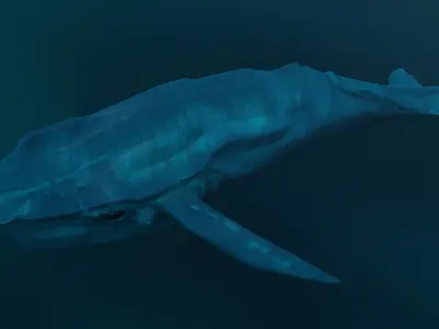 alien whale Low-poly 3D model