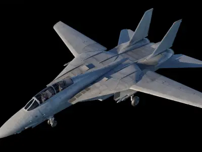 F-14 Tomcat Fighter Jet 3D model
