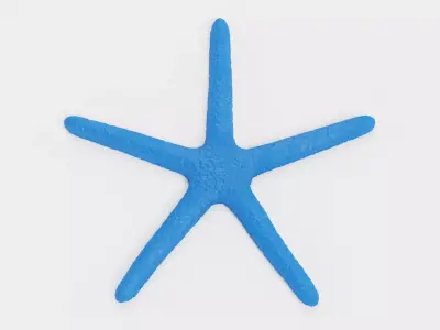 -Blue Stafish - Linckia Laevigata- 3D model
