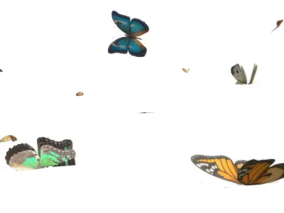 Butterflies looping animation  Low-poly 3D model