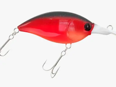 Crank type fishing lure 3D model