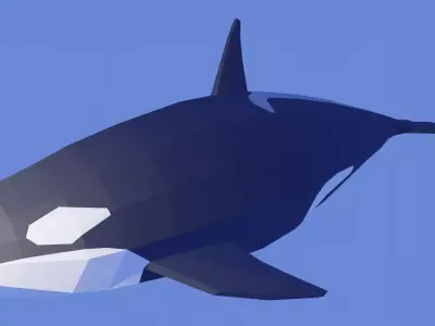 Orcinus Orca or Killer Whale Low Poly Free low-poly 3D model