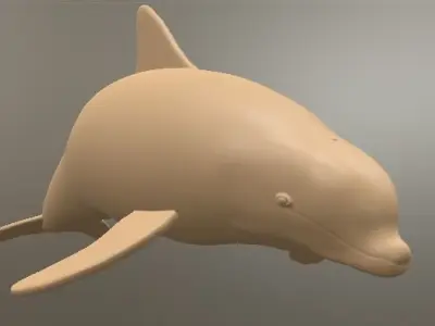 Dolphin 3D model Free 3D print model