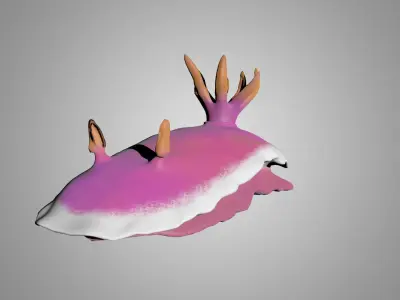 Sea Slug - Nudibranch 3D model