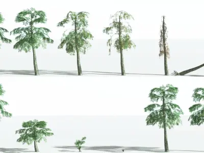 EVERYPlant Alethopteris Seed Fern LowPoly 4 --12 Models-- Low-poly 3D model