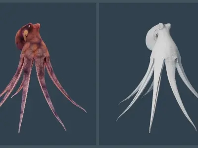 Animated Common Octopus Low-poly 3D model