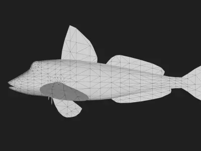 Bass fish Low-poly 3D model
