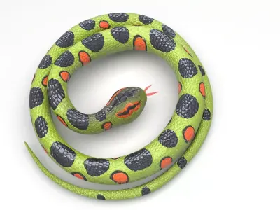 Rubber Snake 3D model