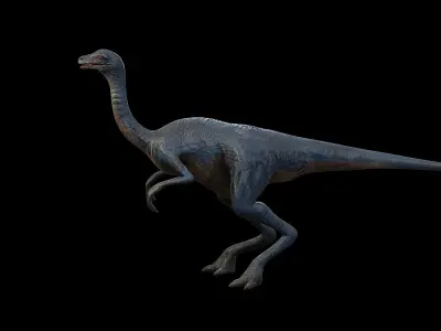 Gallimimus - The Chicken Mimic Low-poly 3D model