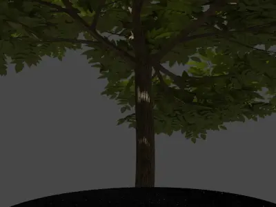 Tree in a pot Free low-poly 3D model