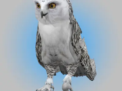 Snowy White Owl Animated Low-poly 3D model