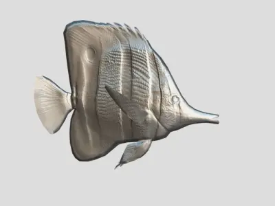 Butterflyfish Realistic Animated Low-poly 3D model