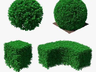 Decorative Shrubs Collection 3D model