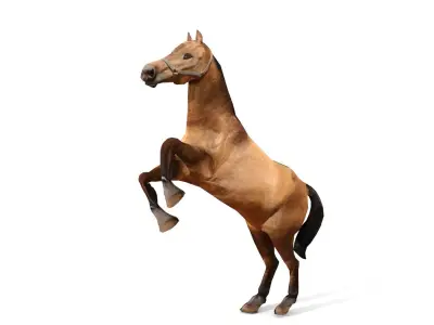 Horse 3D Model galloping Low-poly 3D model
