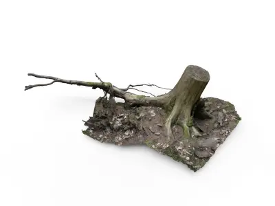 Forest Tree Stump 4K -Part 6- Free low-poly 3D model