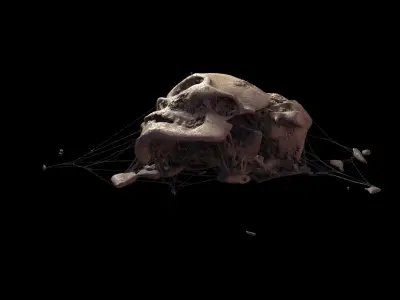Broken Skull with Spider webs 3 3D model