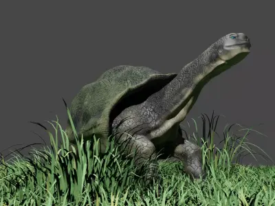 Galapagos Giant Turtle Low-poly 3D model