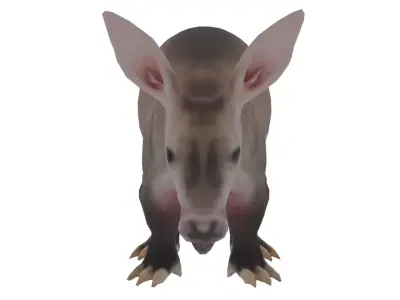 Aardvark Low-poly 3D model