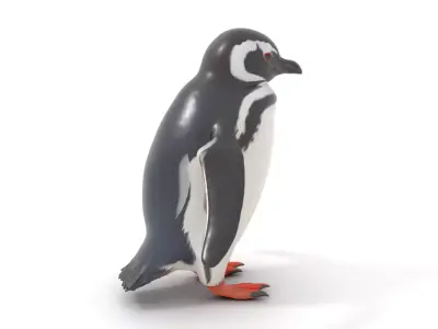 Charming Penguin model pack Low-poly 3D model