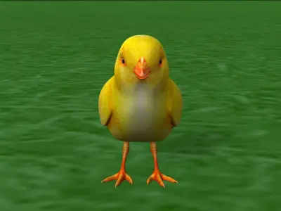 Chick bird 3D print model