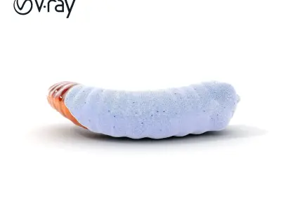 Realistic Centipede Model Pack for Animations and Games Low-poly 3D model