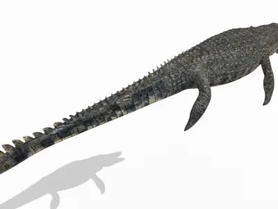 Ancient Marine Reptile - 8K animated 3D model