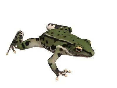 animated frog  Low-poly 3D model