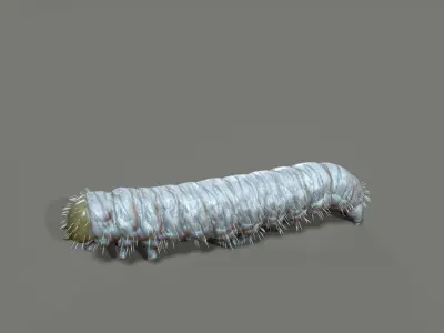 Caterpillar Low-poly 3D model