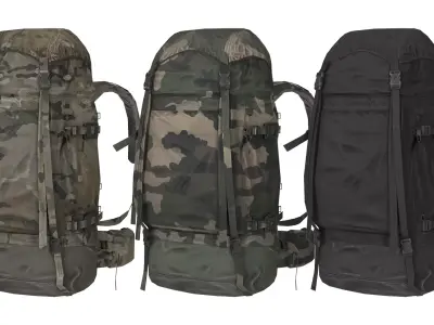 MILITARY F2 Bergan Backpack Low-poly 3D model