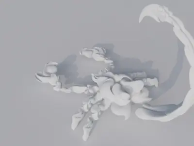 Scorpion 3D model