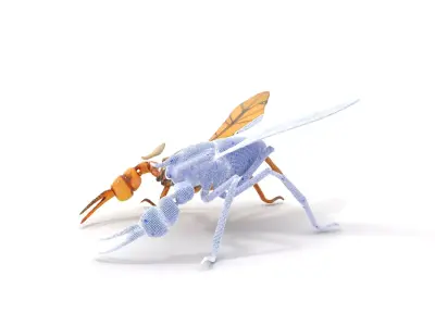 Golden Mechanical Wasp model pack Low-poly 3D model